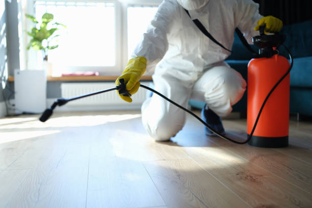 Reliable Sewage Cleanup contractor in Roseville, OH by Trauma Clean Pros